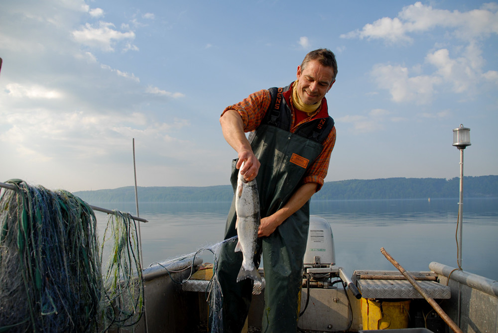 Hof Geiger am Bodensee, Fischfang