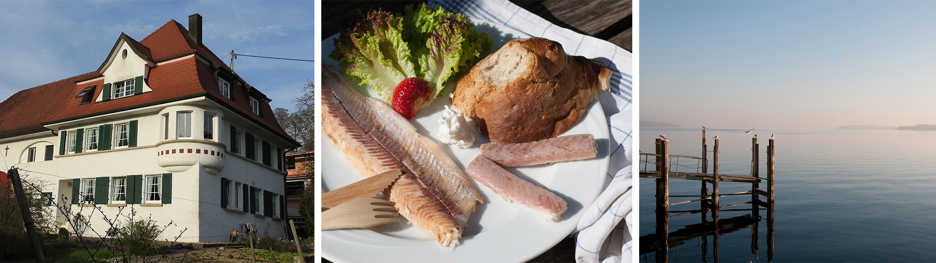 Hof Geiger am Bodensee. Ferienwohnungen, Fischerei, Seegarten, Landwirtschaft