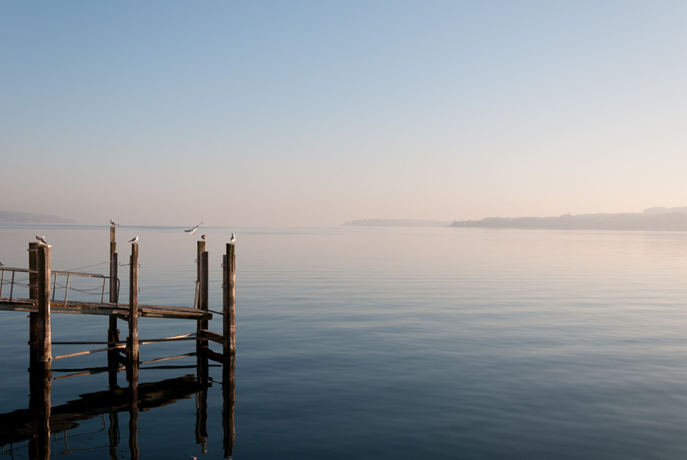 Hof Geiger am BodenseeSeepanorama